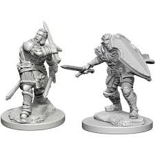 Dungeons & Dragons Nolzur's Marvelous Unpainted Miniatures. W3 Human Male Paladin