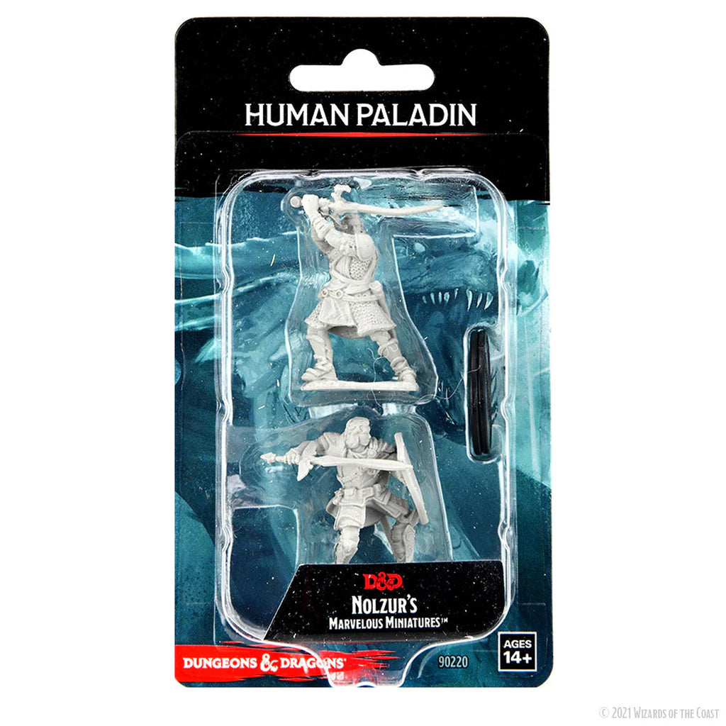 D&D Nolzur's Marvelous Miniatures - Male Human Paladin