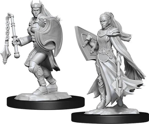 D&D Nolzur’s Marvelous Unpainted Miniatures – Kalashtar Cleric