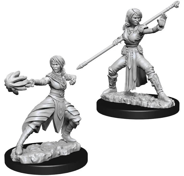 D&D Nolzur’s Marvelous Unpainted Miniatures – Half-Elf Monk
