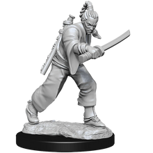 Load image into Gallery viewer, D&amp;D Nolzur&#39;s Marvelous Miniatures - Male Human Monk
