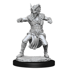 Load image into Gallery viewer, D&amp;D Nolzur&#39;s Marvelous Miniatures - Male Human Monk
