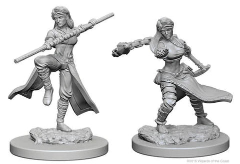 D&D Nolzurs Marvelous Unpainted Miniatures: Wave 1: Human Female Monk