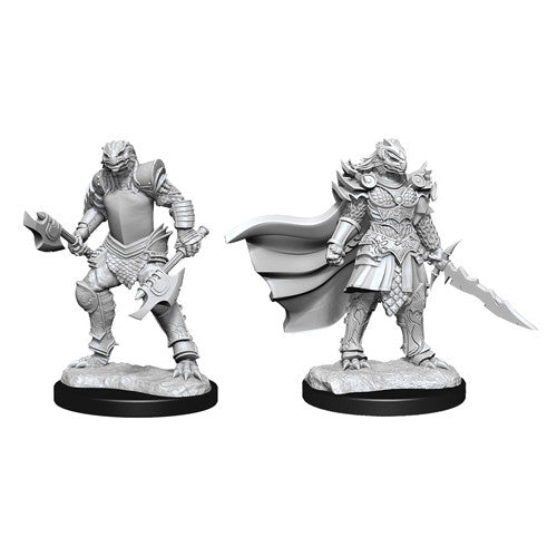 D&D Minis: Wave 15 - Dragonborn Fighter Female